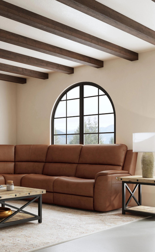 Shop Living Room